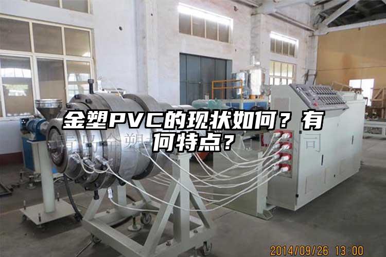 金塑PVC的現(xiàn)狀如何？有何特點？